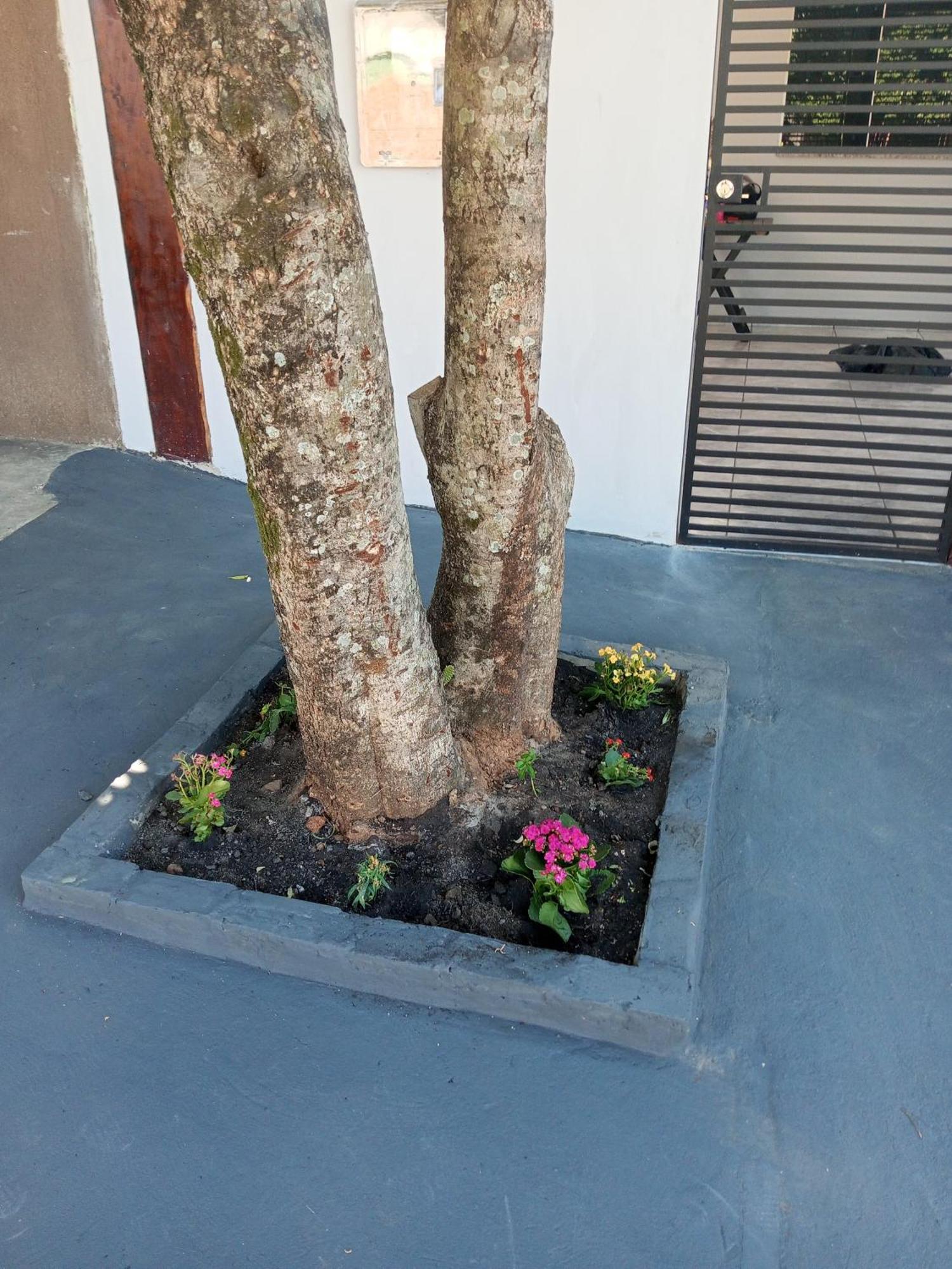 Casa Luna Da Boa Vista Bonito  Zewnętrze zdjęcie